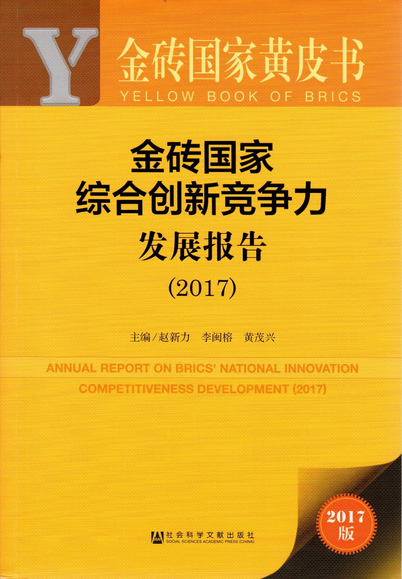 男人和女人网站啪啪啪在床上免费网站免费视频污污污免费网站金砖国家综合创新竞争力发展报告（2017）